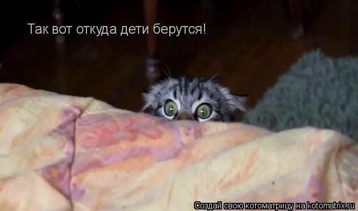 Котоматрица: Так вот откуда дети берутся!