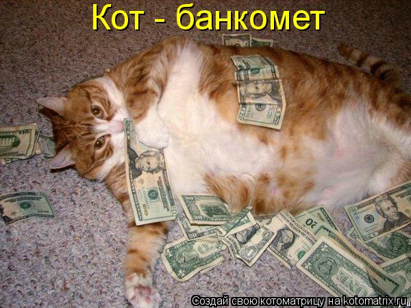 Котоматрица: Кот - банкомет