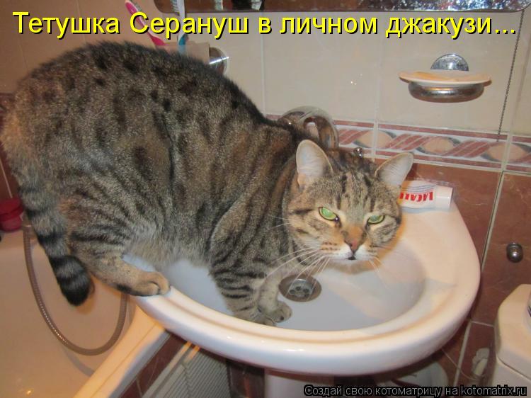 Котоматрица: Тетушка Серануш в личном джакузи...