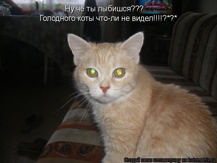 Котоматрица: Ну чё ты лыбишся???  Голодного коты что-ли не видел!!!!?*?*