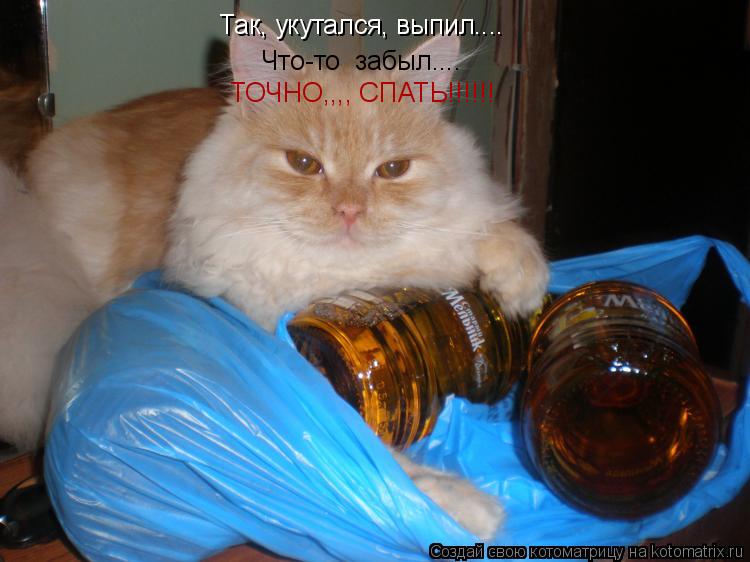 Котоматрица: Так, укутался, выпил.... Что-то  забыл.... ТОЧНО,,,, СПАТЬ!!!!!!
