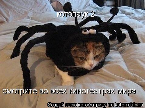 Котоматрица: котэпаук 2 смотрите во всех кинотеатрах мира