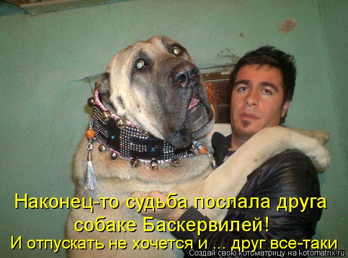 Котоматрица: Наконец-то судьба послала друга И отпускать не хочется и ... друг все-таки собаке Баскервилей!