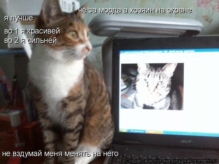 Котоматрица: чё за морда а хозяин на экране не вздумай меня менять на него я лучше во 1 я красивей во 2 я сильней
