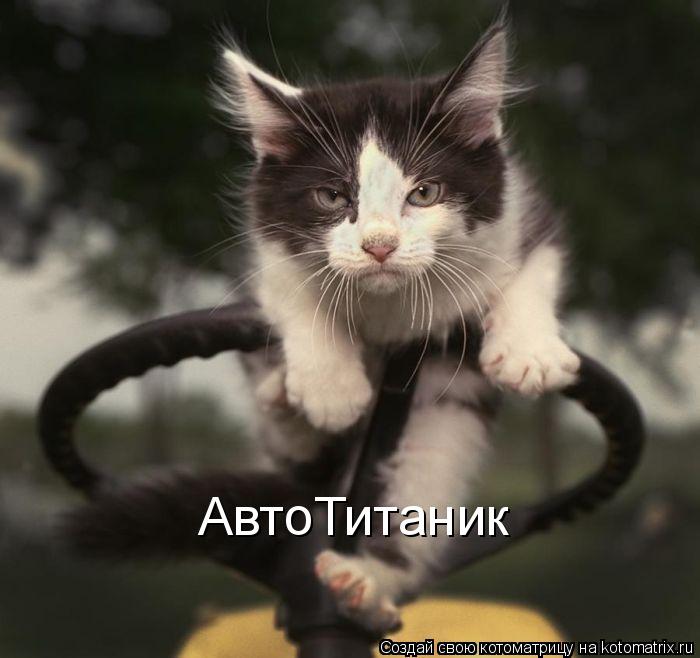 Котоматрица: АвтоТитаник