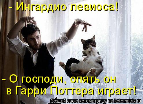 Котоматрица: - Ингардио левиоса! в Гарри Поттера играет! - О господи, опять он