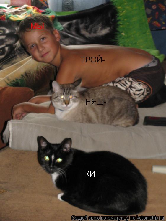 Котоматрица: МЫ ТРОЙ- НЯШ- КИ