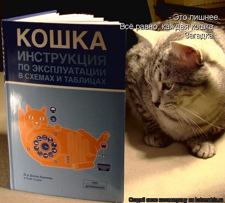 Котоматрица: - Это лишнее. Всё равно, каждая кошка - Загадка...