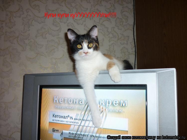 Котоматрица: Купи купи куУУУУУУУУпи!!!!!
