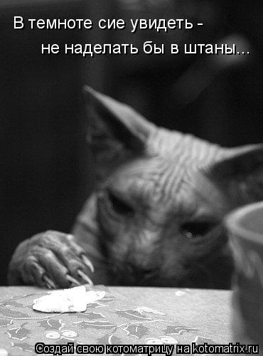 Котоматрица: В темноте сие увидеть - не наделать бы в штаны...