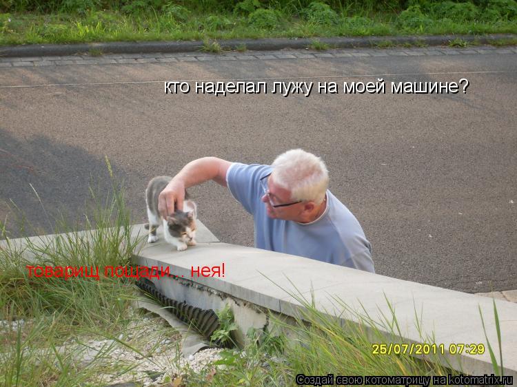 Котоматрица: кто наделал лужу на моей машине? товарищ пощади... нея!