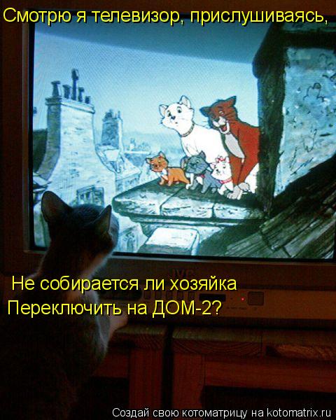Котоматрица: Смотрю я телевизор, прислушиваясь, Не собирается ли хозяйка Переключить на ДОМ-2?