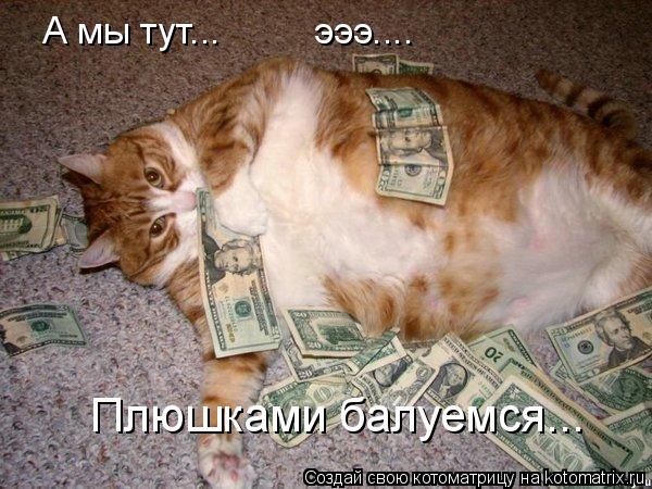 Котоматрица: А мы тут...         эээ.... Плюшками балуемся...