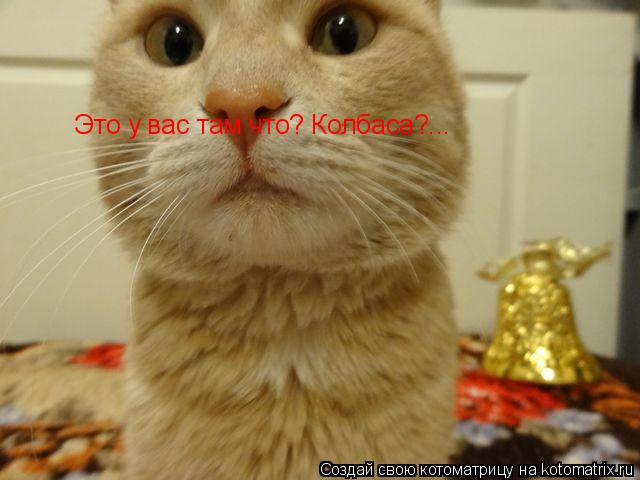 Котоматрица: Это у вас там что? Колбаса?...