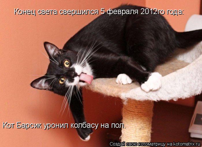 Котоматрица: Конец света свершился 5 февраля 2012го года: Кот Барсик уронил колбасу на пол.