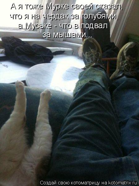 Котоматрица: А я тоже Мурке своей сказал, что я на чердак за голубями, а Муське - что в подвал за мышами...