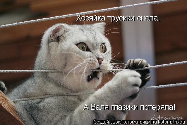 Котоматрица: Хозяйка трусики снела, А Валя глазики потеряла!