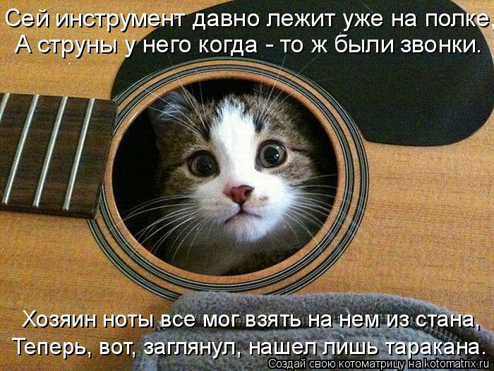 Хозяин ноты все мог взять на нем из стана, Теперь, вот, заглянул, нашел лишь таракана. Сей инструмент... Котоматрица: Хозяин ноты все мог взять на нем из стана, Теперь, вот, заглянул, нашел лишь таракана. Сей инструмент давно лежит уже на полке, А струны у него