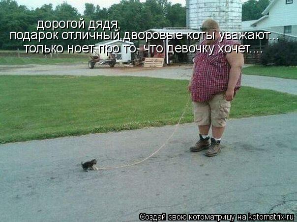 Котоматрица: дорогой дядя, подарок отличный,дворовые коты уважают... только ноет про то, что девочку хочет....