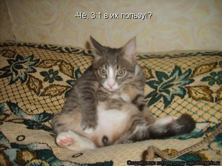 Котоматрица: -Чё, 3:1 в их пользу!?