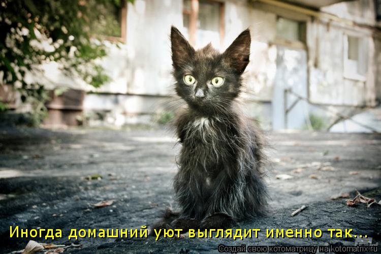 Котоматрица: Иногда домашний уют выглядит именно так...