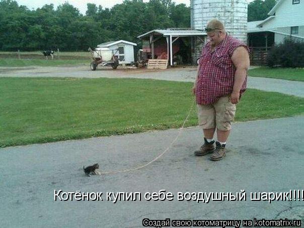 Котоматрица: Котёнок купил себе воздушный шарик!!!!!