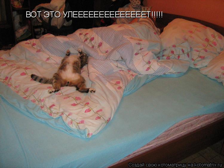 Котоматрица: ВОТ ЭТО УЛЕЕЕЕЕЕЕЕЕЕЕЕЕЕТ!!!!!