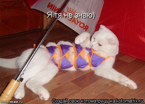 Котоматрица: Я тя не знаю)