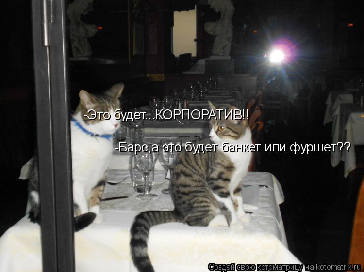Котоматрица: -Барс,а это будет банкет или фуршет?? -Это будет...КОРПОРАТИВ!!