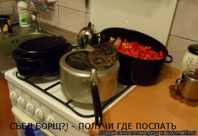 Котоматрица: СЪЕЛ БОРЩ?! - ПОЛУЧИ ГДЕ ПОСПАТЬ