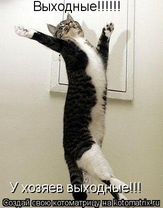 Котоматрица: Выходные!!!!!! У хозяев выходные!!!