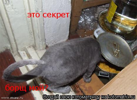 Котоматрица: это секрет борщ мой?