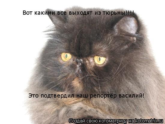 Котоматрица: Вот какими все выходят из тюрьмы!!!! Это подтвердил наш репортёр василий!