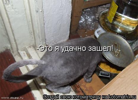 Котоматрица: -Это я удачно зашел!