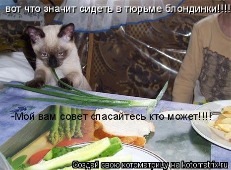 Котоматрица: вот что значит сидеть в тюрьме блондинки!!!!!!!!! вот что значит сидеть в тюрьме блондинки!!!!!!!!! -Мой вам совет спасайтесь кто может!!!!