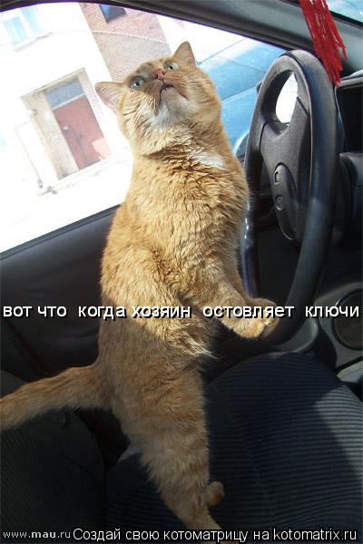 Котоматрица: вот что  когда хозяин  остовляет  ключи вот что  когда хозяин  остовляет  ключи