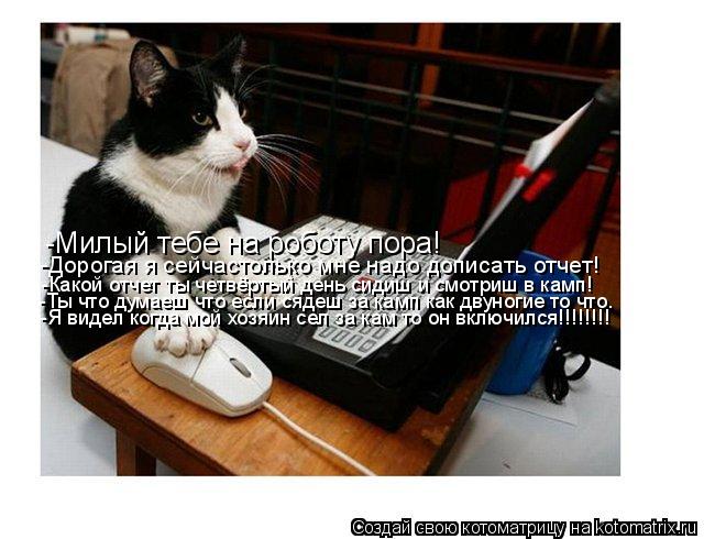 Котоматрица: -Милый тебе на роботу пора! -Дорогая я сейчастолько мне надо дописать отчет! -Какой отчет ты четвёртый день сидиш и смотриш в камп! -Ты что дум