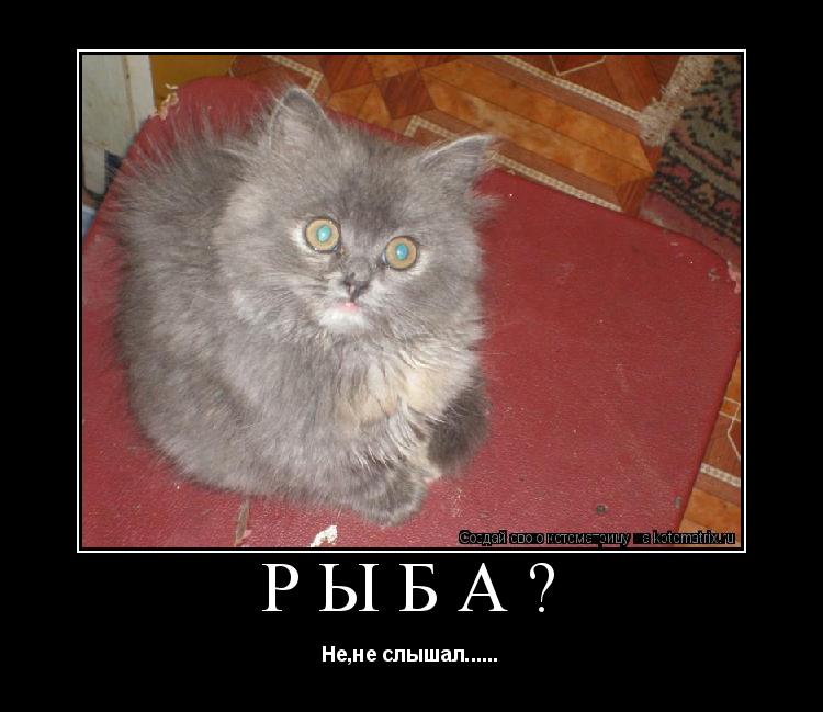Котоматрица: Рыба? Не,не слышал......