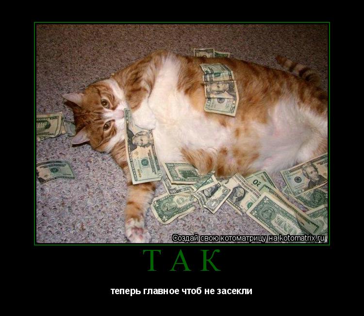 Котоматрица: Так теперь главное чтоб не засекли