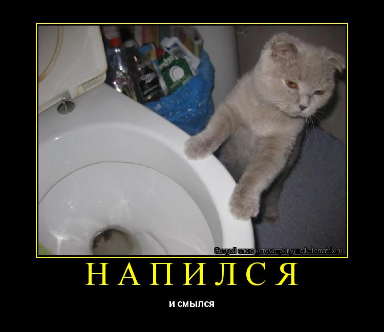 Котоматрица: Напился и смылся