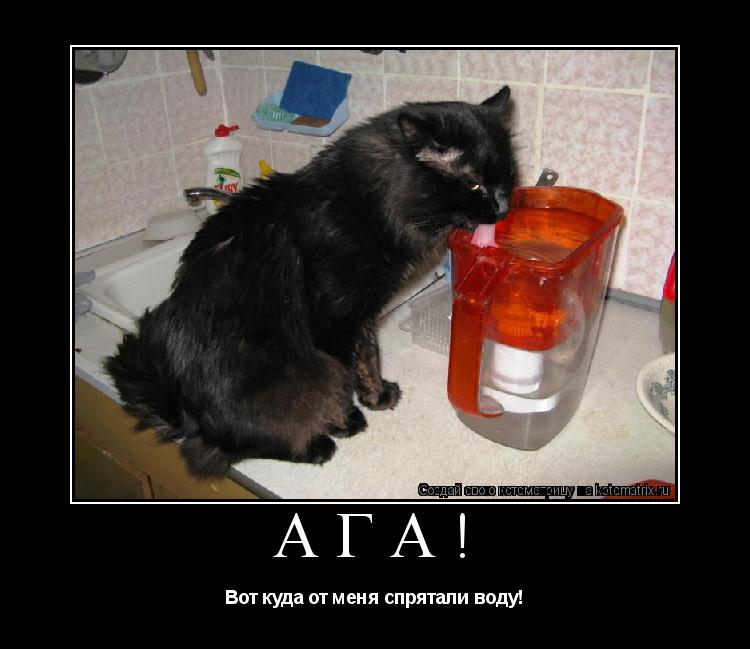 Котоматрица: Ага! Вот куда от меня спрятали воду!