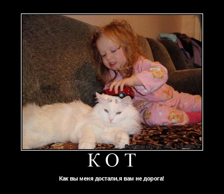 Котоматрица: кот Как вы меня достали,я вам не дорога!