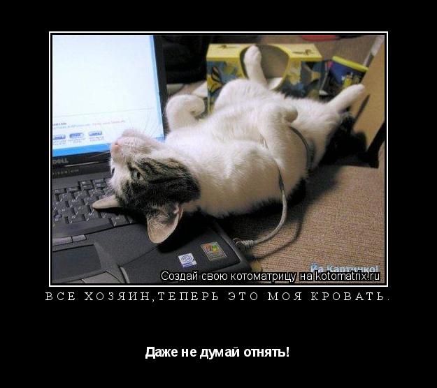 Котоматрица: Всё хозяин,теперь это моя кровать. Даже не думай отнять!