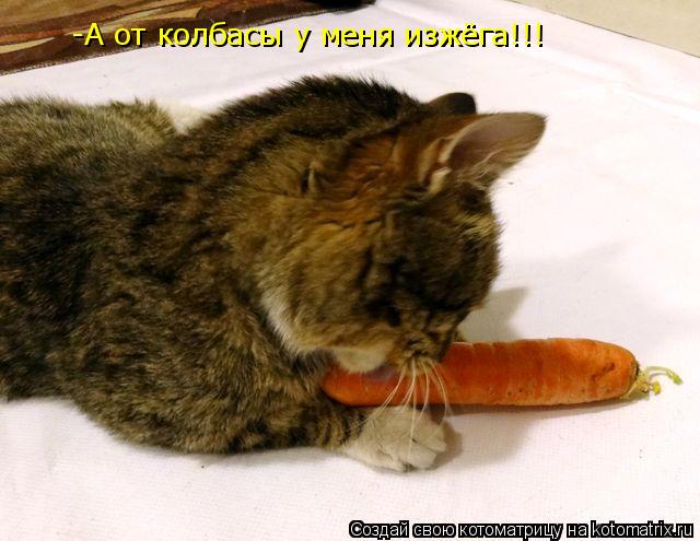 Котоматрица: -А от колбасы у меня изжёга!!!