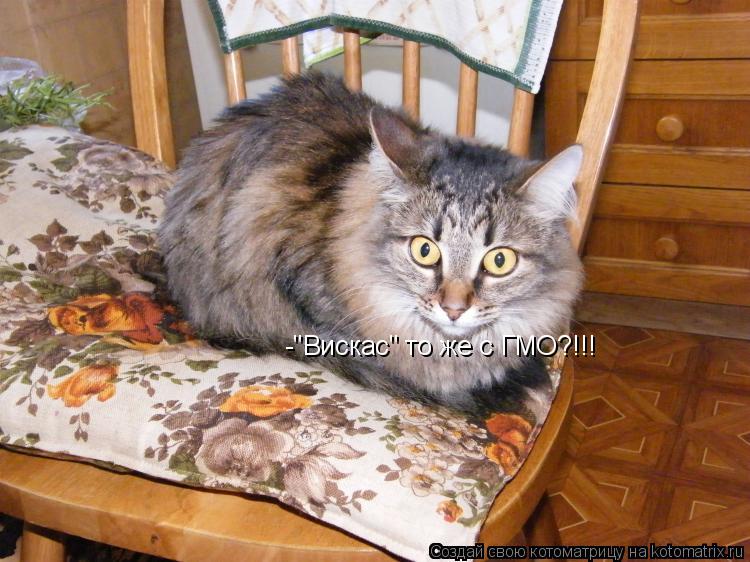 Котоматрица: -"Вискас" то же с ГМО?!!!