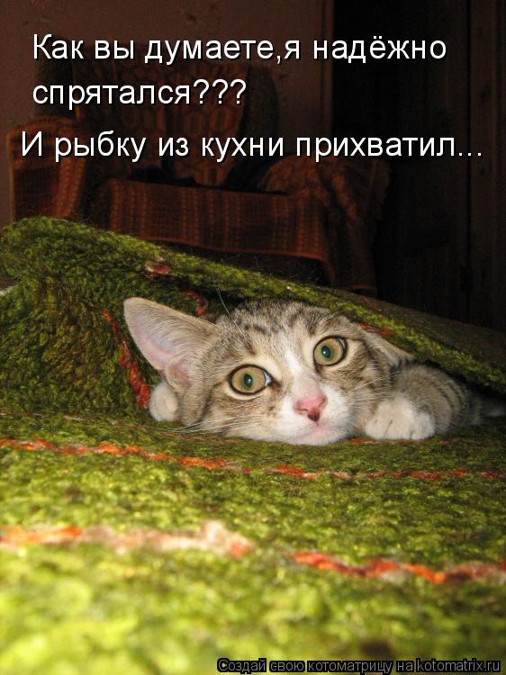Котоматрица: Как вы думаете,я надёжно  спрятался??? И рыбку из кухни прихватил...