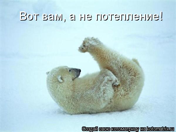 Котоматрица: Вот вам, а не потепление!