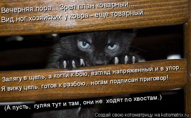 Вечерняя пора... Зрел план коварный... Вид ног хозяйских у ковра - еще товарный... Залягу в щель, а к... Котоматрица: Вечерняя пора... Зрел план коварный... Вид ног хозяйских у ковра - еще товарный... Залягу в щель, а когти к бою, взгляд напряженный и в упор... Я ви
