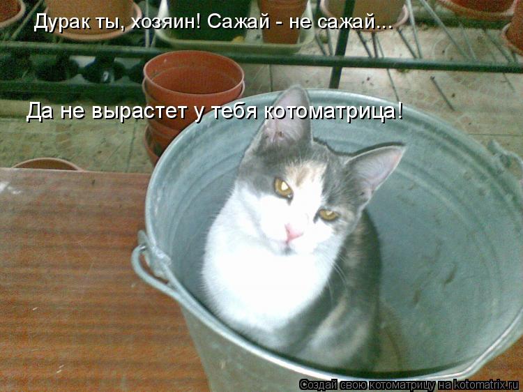 Котоматрица: Дурак ты, хозяин! Сажай - не сажай... Да не вырастет у тебя котоматрица!