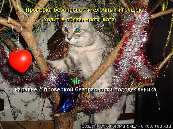 Котоматрица: Проверка безопасности елочных игрушек ходит в обязанности кота наравне с проверкой безопасности пододеяльника